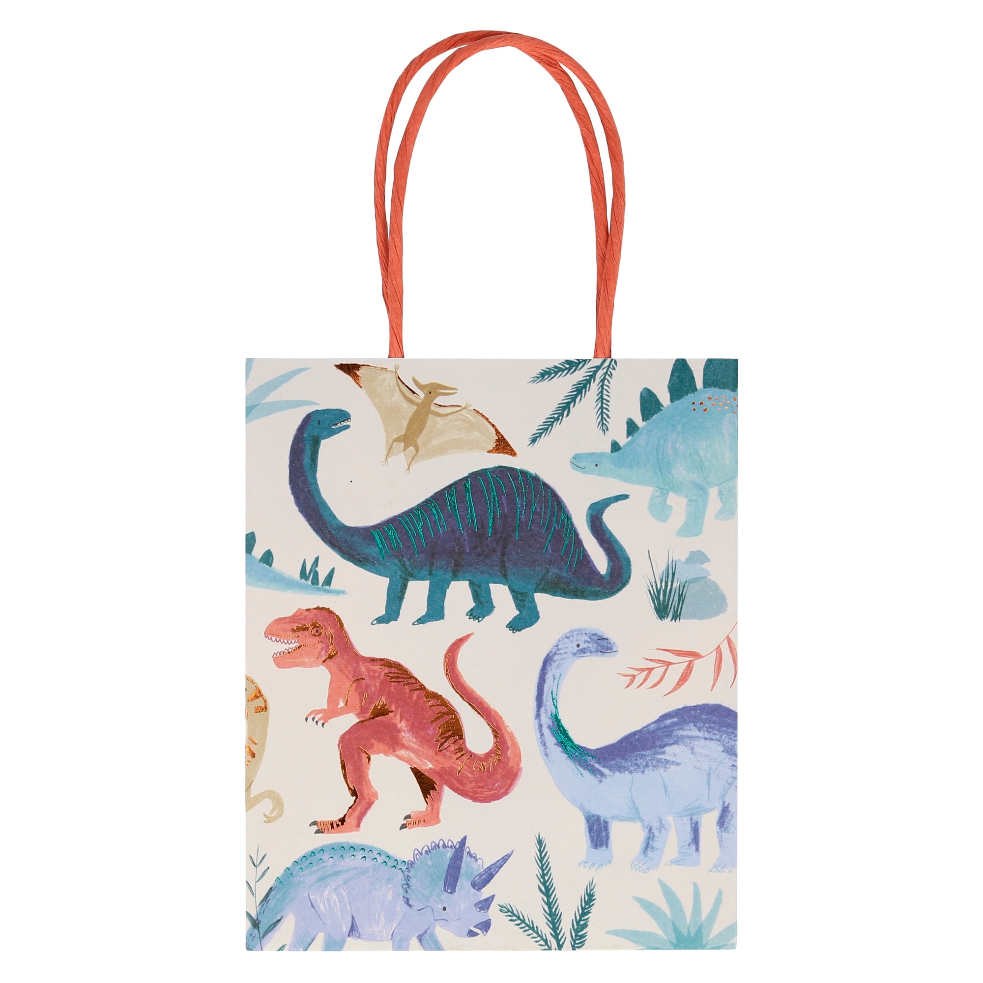 Dinosaur Party Bags - Dinozor Parti Çantaları
