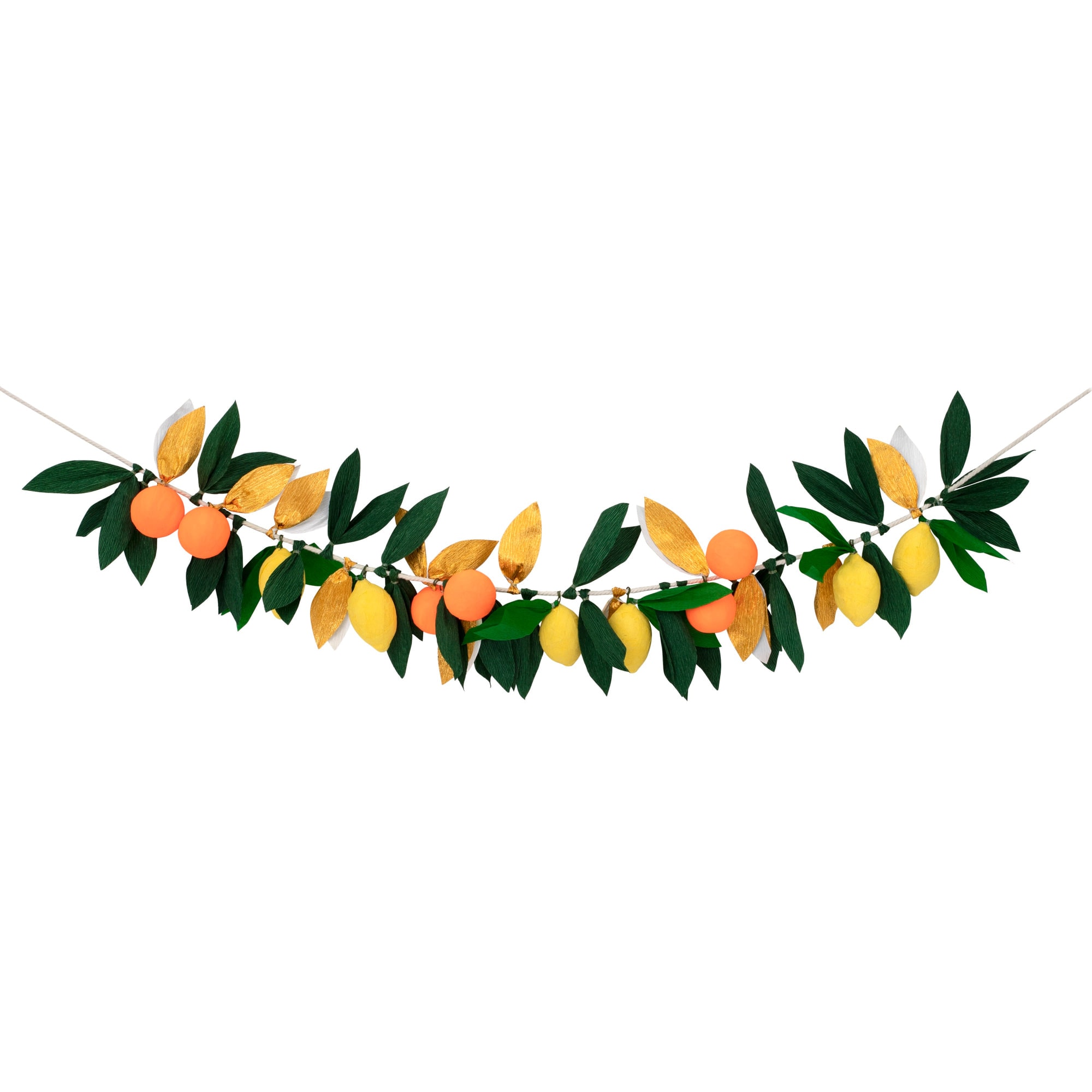 Citrus Fruti Garland - Turunçgiller Meyve Asılan Süs