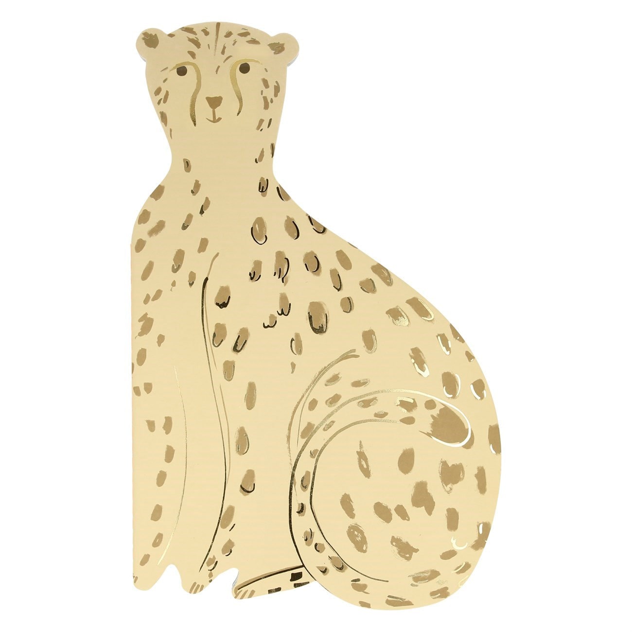 Cheetah Sticker & Sketchbook - Çita Çıkartma ve Eskiz Defteri