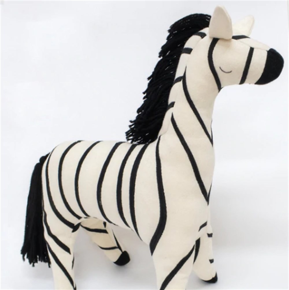 Ray Zebra