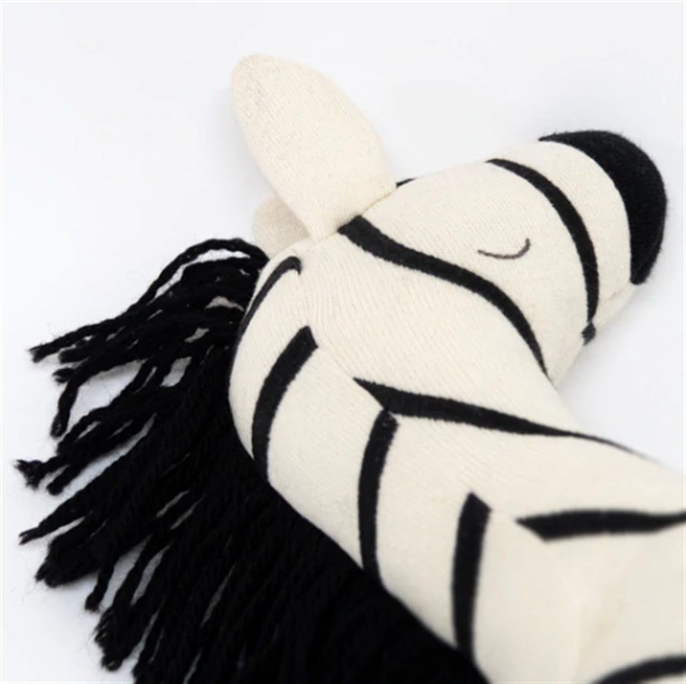 Ray Zebra