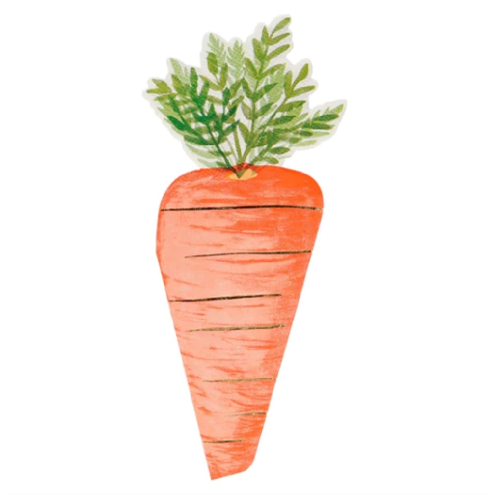 Carrot Napkin - Havuç Peçeteler - 16'lı