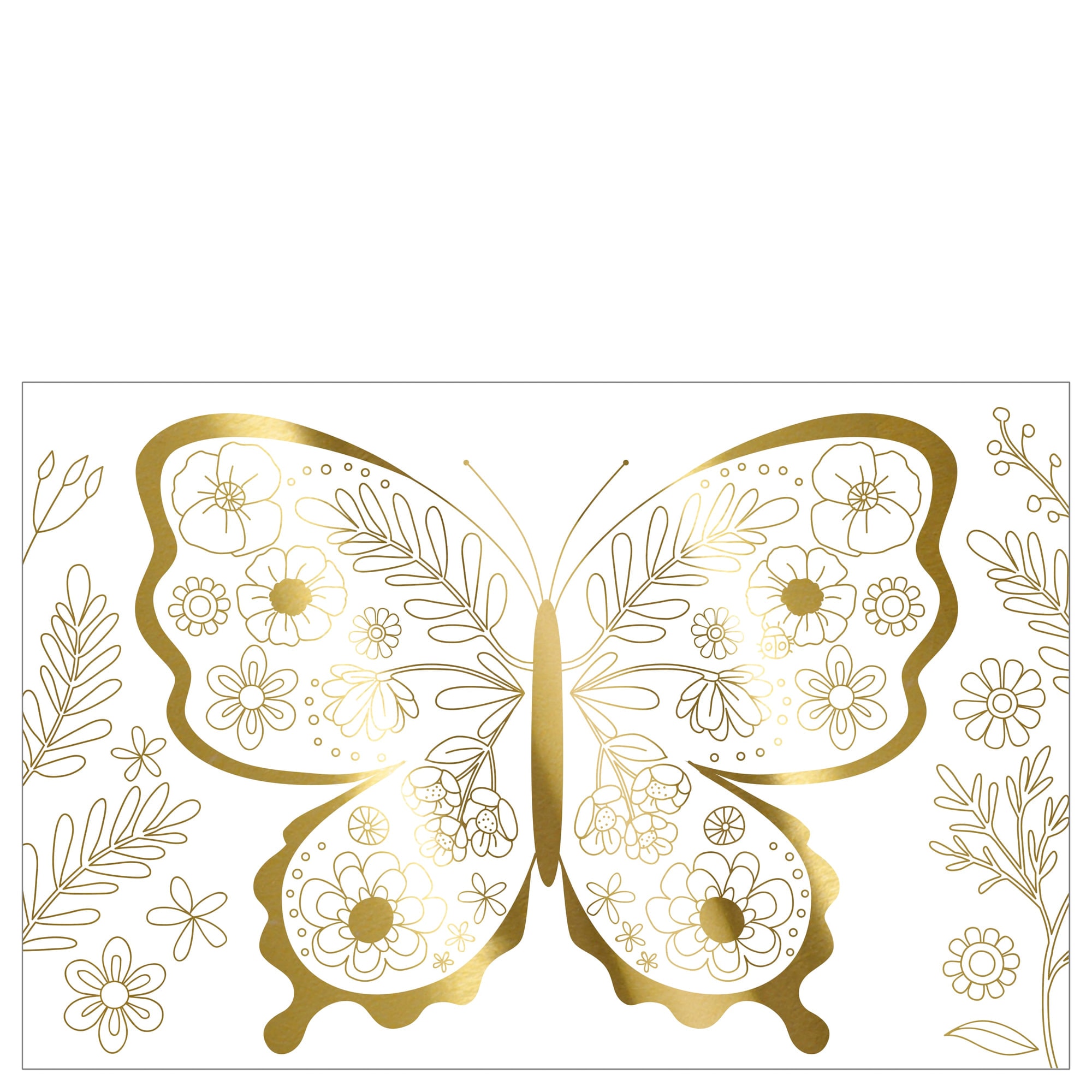 Butterfly Colouring Posters - Kelebek Boyamalı Poster