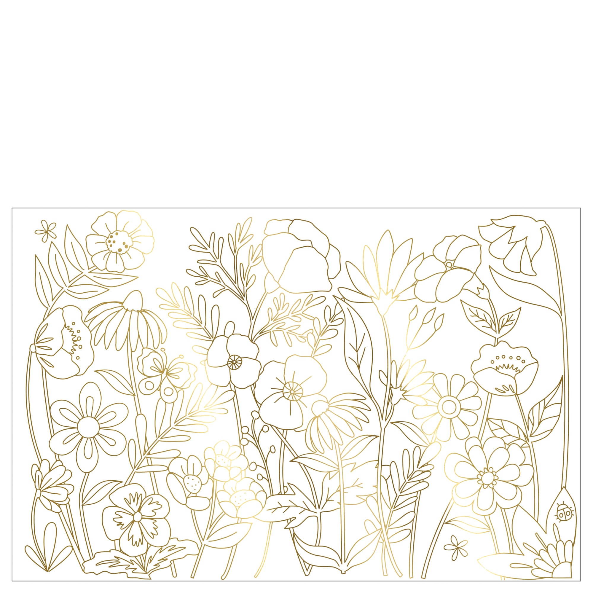 Butterfly Colouring Posters - Kelebek Boyamalı Poster