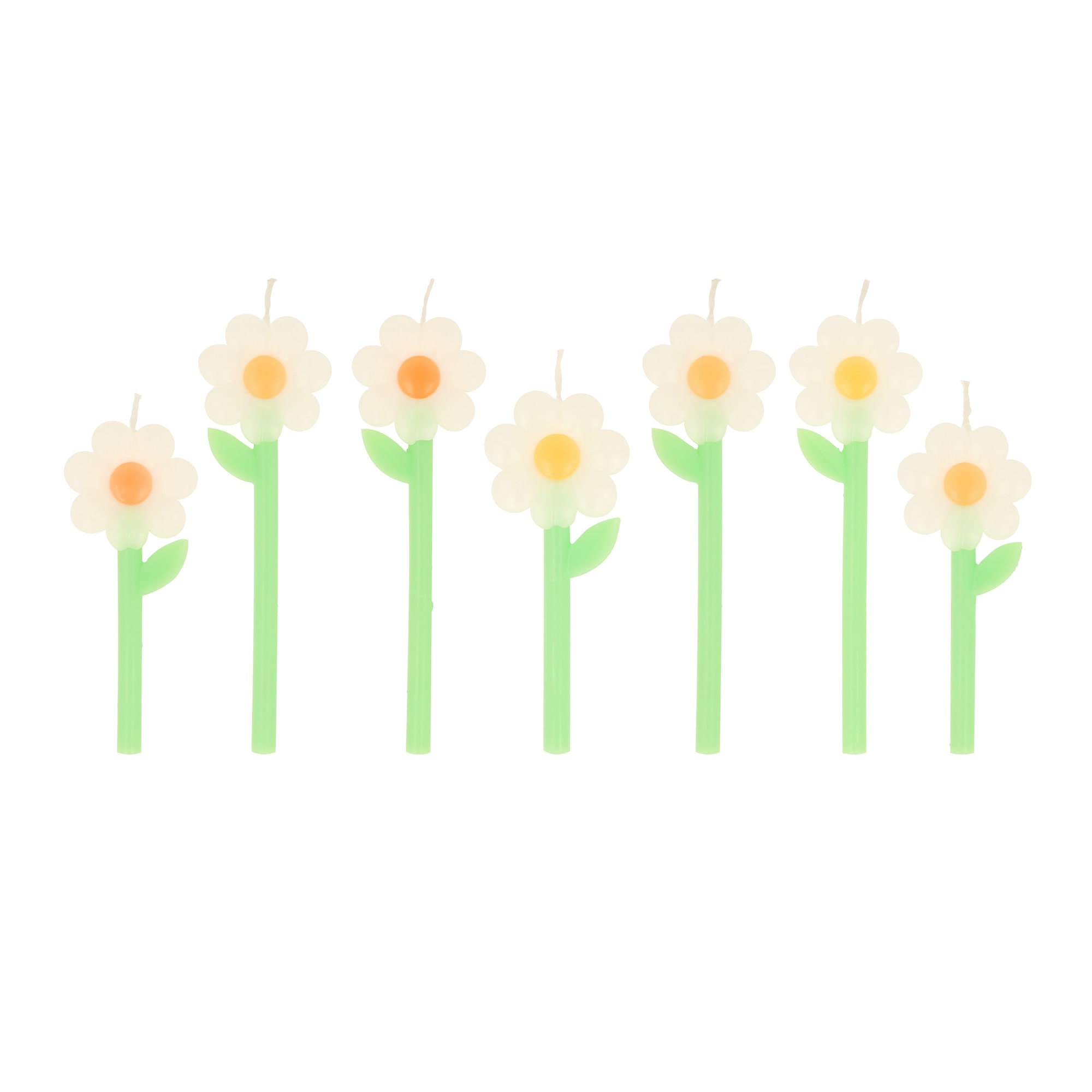 Daisy Candles - Papatya Mumlar (x6)